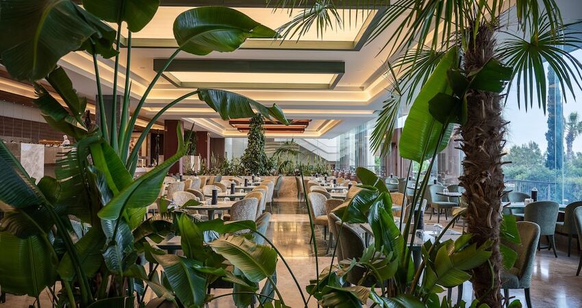 Concorde Luxury Resort